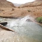 الاجواء الحارة تدفع المواطنين للاستجمام في عين العوجا