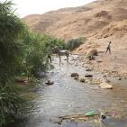 الاجواء الحارة تدفع المواطنين للاستجمام في عين العوجا