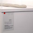 معرض فني يجمع فناني فلسطين في الوطن والشتات