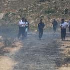 هندسة المتفجرات في الشرطة الفلسطينية تتلف كمية من الألعاب النارية