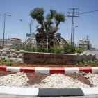 بلدية البيرة تطلق على مدخل المدينة الشمالي ميدان الشهيد أبو خضير