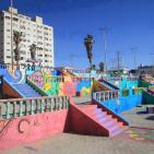 شباب غزة يلونوا حدائقهم