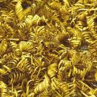 الدنمارك: العثور على 2000 حلقة ذهبية تعود لـ 900سنة ق.م