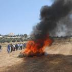 اتلاف 3 أطنان مواد مخدرة بقيمة 50 مليون شيقل في الخليل