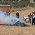 اتلاف 3 أطنان مواد مخدرة بقيمة 50 مليون شيقل في الخليل