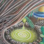 بالصور... معرض كنعان الأول للفن التشكيلي في الخليل