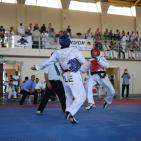 بطولة كأس السفير الكوري في رام الله