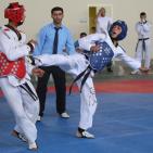 بطولة كأس السفير الكوري في رام الله