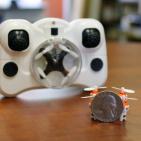 الأصغر على الإطلاق.. طائرة 