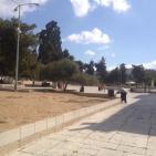 الاحتلال يفرض قيودا مشددة على دخول الاقصى