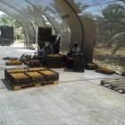 شركة نخيل فلسطين للاستثمار الزراعي تبدأ موسم قطف ثمار النخيل