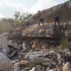 البدء بالمرحلة الثالثة من مشروع مسبح ومنتزه بلدية علار الوطني في محافظة  طولكرم