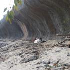 البدء بالمرحلة الثالثة من مشروع مسبح ومنتزه بلدية علار الوطني في محافظة  طولكرم