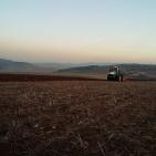 التحضير للموسم الزراعي القادم في سهل عرابه جنين