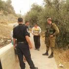 نورا نصار مديره مدرسة قرطبه في البلدة القديمه في مدينة الخليل والاسرة التربوية تدخل المواد الغذائيه للطلبة رغم انف المستوطنيين