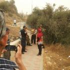 نورا نصار مديره مدرسة قرطبه في البلدة القديمه في مدينة الخليل والاسرة التربوية تدخل المواد الغذائيه للطلبة رغم انف المستوطنيين