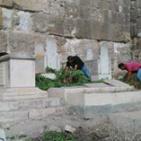 شباب سلوان في القدس المحتلة  ينظفون مقبرة باب الرحمة