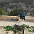 شباب سلوان في القدس المحتلة  ينظفون مقبرة باب الرحمة