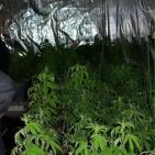 بالصور: الشرطة تضبط مستنبتا كبيرا للمواد المخدرة بتقنيات عالية في أريحا