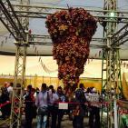 مهرجان العنب في الخليل