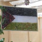 مهرجان العنب في الخليل