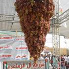 بالصور: مهرجان العنب الفلسطيني 2015