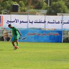 بالصور..