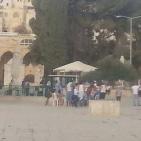 اعتداء المحتلين  على المصلين في المسجد الاقصى  اليوم الاثنين 14/9/2015