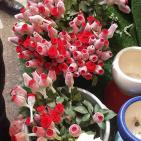 معروضات في مهرجان العنب في الخليل