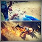 صور:
