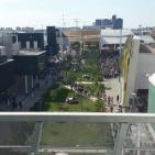 اليوم الوطني الفلسطيني في ايطاليا