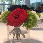 اليوم الوطني الفلسطيني في ايطاليا