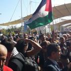 اليوم الوطني الفلسطيني في ايطاليا