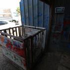 رام الله: إقبال على شراء الاضاحي مع حلول عيد الاضحى