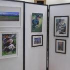 معرض الصور الصيني الفلسطيني في الخليل