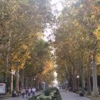 صور لمدينة كراسنودار في روسيا