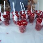 مهرجان الرمان الثالث في قرية عين عريك قرب رام الله