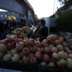 مهرجان الرمان الثالث في قرية عين عريك قرب رام الله