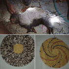 صواني قش من ريش النيص - سلفيت