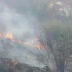 بالصور: الدفاع المدني يسطير على حرائق تسبب بها المستوطنون في نابلس