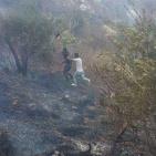 بالصور: الدفاع المدني يسطير على حرائق تسبب بها المستوطنون في نابلس