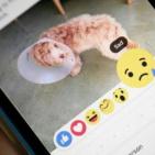 بالصور.. هكذا ستكون أزرار 