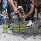 مواجهات باب الزاوية وسط الخليل