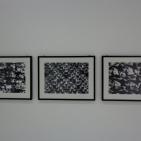 بعد غياب 25 عاما..معرض 