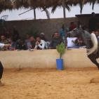 بطولة فلسطين الدولية الثالثة لجمال الخيل العربية الاصيلة في اريحا