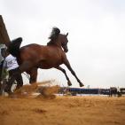 بطولة فلسطين الدولية الثالثة لجمال الخيل العربية الاصيلة في اريحا