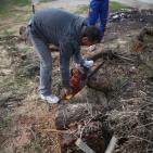 الاستعداد للشتاء