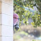 مواجهات في ذكرى استشهاد ياسر عرفات في البيرة