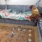 بالصور: الاحتلال يفجر منزل الاسير معاذ حامد في بلدة سلواد شرق رام الله