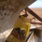 في موقع الحديدية في الاغوار الشمالية قوات الاحتلال  تستهدف مضارب ابو صقر واولاده